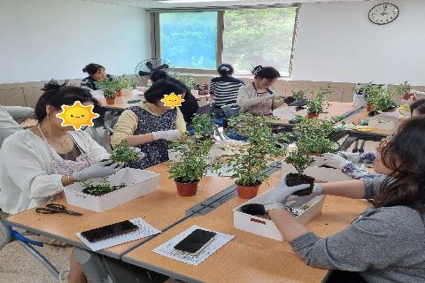[금정구평생학습관] 싱그러운 여름내음 플랜테리어 (24년2학기)